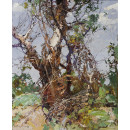 РЕПРОДУКЦИИ НА КАРТИНИ Старото дърво (1955)